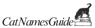 Cat Names Guide